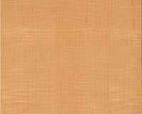 figured_mapple-200-280